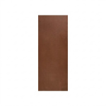 Door Interior Masonite White