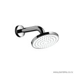 PLB SHOWER HEAD ROSE