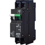ELC C/B SAMITE 3KA 2POLE 63AMP